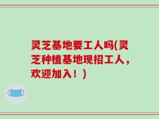灵芝基地要工人吗(灵芝种植基地现招工人，欢迎加入！)