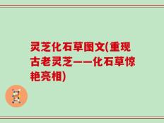 灵芝化石草图文(重现古老灵芝——化石草惊艳亮相)