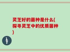 灵芝好的菌种是什么(探寻灵芝中的优质菌种)