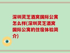深圳灵芝酒窝国际公寓怎么样(深圳灵芝酒窝国际公寓的住宿体验简介)