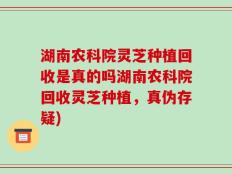 湖南农科院灵芝种植回收是真的吗湖南农科院回收灵芝种植，真伪存疑)