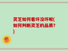 灵芝如何看坏没坏呢(如何判断灵芝的品质？)