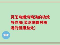 灵芝响螺炖鸡汤的功效与作用(灵芝响螺炖鸡汤的健康益处)