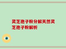 灵芝孢子粉分解天然灵芝孢子粉解析