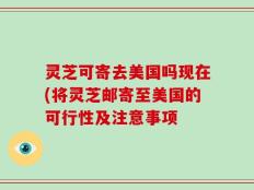 灵芝可寄去美国吗现在(将灵芝邮寄至美国的可行性及注意事项