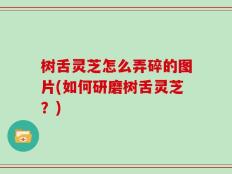 树舌灵芝怎么弄碎的图片(如何研磨树舌灵芝？)