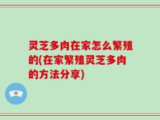 灵芝多肉在家怎么繁殖的(在家繁殖灵芝多肉的方法分享)