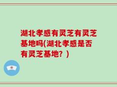 湖北孝感有灵芝有灵芝基地吗(湖北孝感是否有灵芝基地？)
