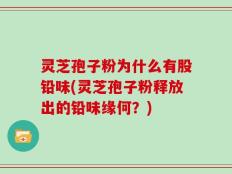 灵芝孢子粉为什么有股铅味(灵芝孢子粉释放出的铅味缘何？)