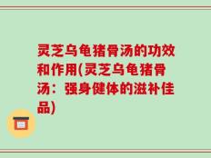 灵芝乌龟猪骨汤的功效和作用(灵芝乌龟猪骨汤：强身健体的滋补佳品)