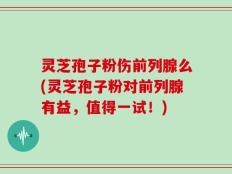 灵芝孢子粉伤前列腺么(灵芝孢子粉对前列腺有益，值得一试！)