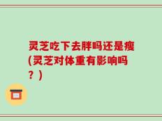 灵芝吃下去胖吗还是瘦(灵芝对体重有影响吗？)