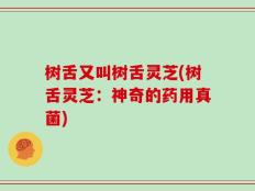 树舌又叫树舌灵芝(树舌灵芝：神奇的药用真菌)