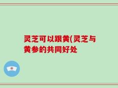 灵芝可以跟黄(灵芝与黄参的共同好处