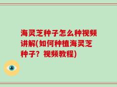 海灵芝种子怎么种视频讲解(如何种植海灵芝种子？视频教程)