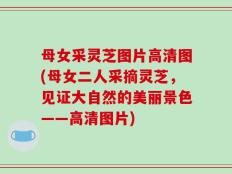母女采灵芝图片高清图(母女二人采摘灵芝，见证大自然的美丽景色——高清图片)