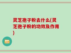 灵芝孢子粉去什么(灵芝孢子粉的功效及作用)