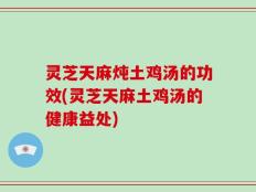 灵芝天麻炖土鸡汤的功效(灵芝天麻土鸡汤的健康益处)