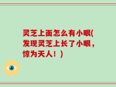 灵芝上面怎么有小眼(发现灵芝上长了小眼，惊为天人！)