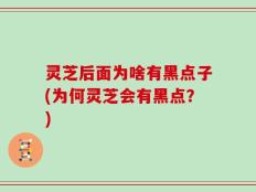 灵芝后面为啥有黑点子(为何灵芝会有黑点？)