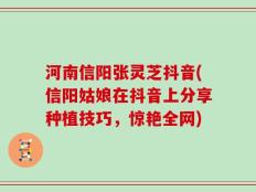 河南信阳张灵芝抖音(信阳姑娘在抖音上分享种植技巧，惊艳全网)