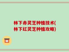 林下赤灵芝种植技术(林下红灵芝种植攻略)