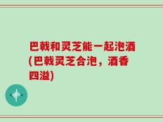 巴戟和灵芝能一起泡酒(巴戟灵芝合泡，酒香四溢)
