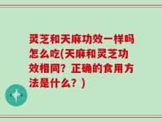 灵芝和天麻功效一样吗怎么吃(天麻和灵芝功效相同？正确的食用方法是什么？)