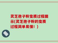 灵芝孢子粉变质过程图示(灵芝孢子粉的变质过程简单易懂！)