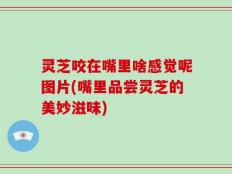 灵芝咬在嘴里啥感觉呢图片(嘴里品尝灵芝的美妙滋味)