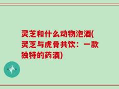 灵芝和什么动物泡酒(灵芝与虎骨共饮：一款独特的药酒)