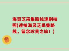 海灵芝采集路线速刷拍照(速拍海灵芝采集路线，留念珍贵之旅！)