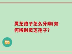 灵芝孢子怎么分辨(如何辨别灵芝孢子？