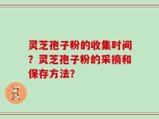 灵芝孢子粉的收集时间？灵芝孢子粉的采摘和保存方法？