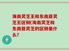 海南灵芝王和东南亚灵芝王区别(海南灵芝和东南亚灵芝的区别是什么？
