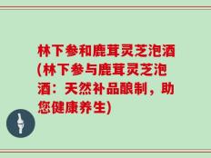 林下参和鹿茸灵芝泡酒(林下参与鹿茸灵芝泡酒：天然补品酿制，助您健康养生)