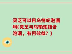 灵芝可以用乌梢蛇泡酒吗(灵芝与乌梢蛇结合泡酒，有何效益？)