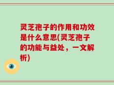 灵芝孢子的作用和功效是什么意思(灵芝孢子的功能与益处，一文解析)