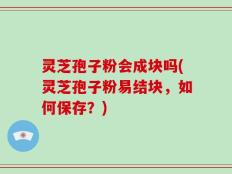 灵芝孢子粉会成块吗(灵芝孢子粉易结块，如何保存？)