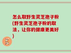 怎么取野生灵芝孢子粉(野生灵芝孢子粉的取法，让你的健康更美好)