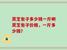 灵芝包子多少钱一斤啊灵芝包子价格，一斤多少钱？