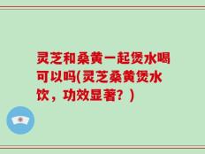灵芝和桑黄一起煲水喝可以吗(灵芝桑黄煲水饮，功效显著？)