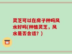 灵芝可以在房子种吗风水好吗(种植灵芝，风水是否合适？)