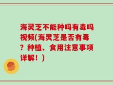 海灵芝不能种吗有毒吗视频(海灵芝是否有毒？种植、食用注意事项详解！)