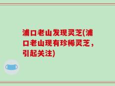浦口老山发现灵芝(浦口老山现有珍稀灵芝，引起关注)
