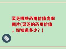 灵芝哪些药用价值高呢图片(灵芝的药用价值，你知道多少？)