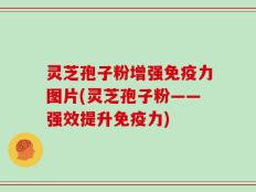 灵芝孢子粉增强免疫力图片(灵芝孢子粉——强效提升免疫力)