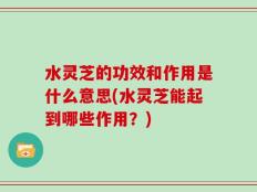 水灵芝的功效和作用是什么意思(水灵芝能起到哪些作用？)