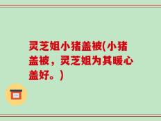 灵芝姐小猪盖被(小猪盖被，灵芝姐为其暖心盖好。)