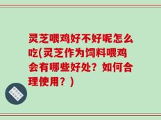 灵芝喂鸡好不好呢怎么吃(灵芝作为饲料喂鸡会有哪些好处？如何合理使用？)